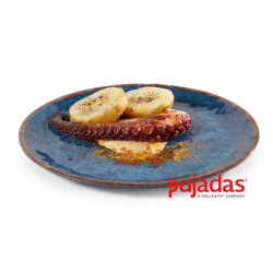 PRATO RASO MELAMINA 25CM WATER
